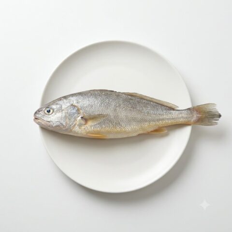 Croaker Fish