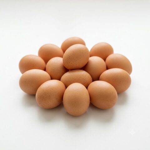 Egg