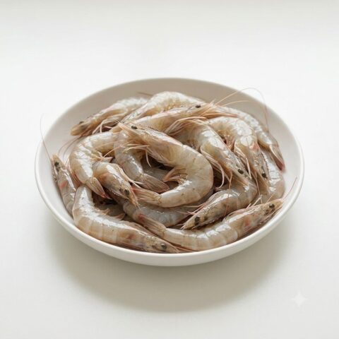 Shrimps