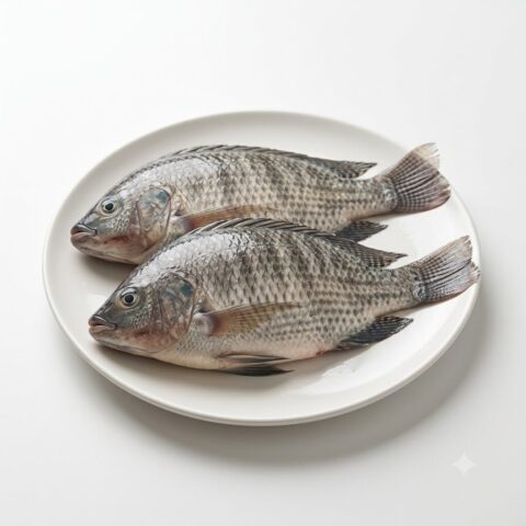 Tilapia Fish