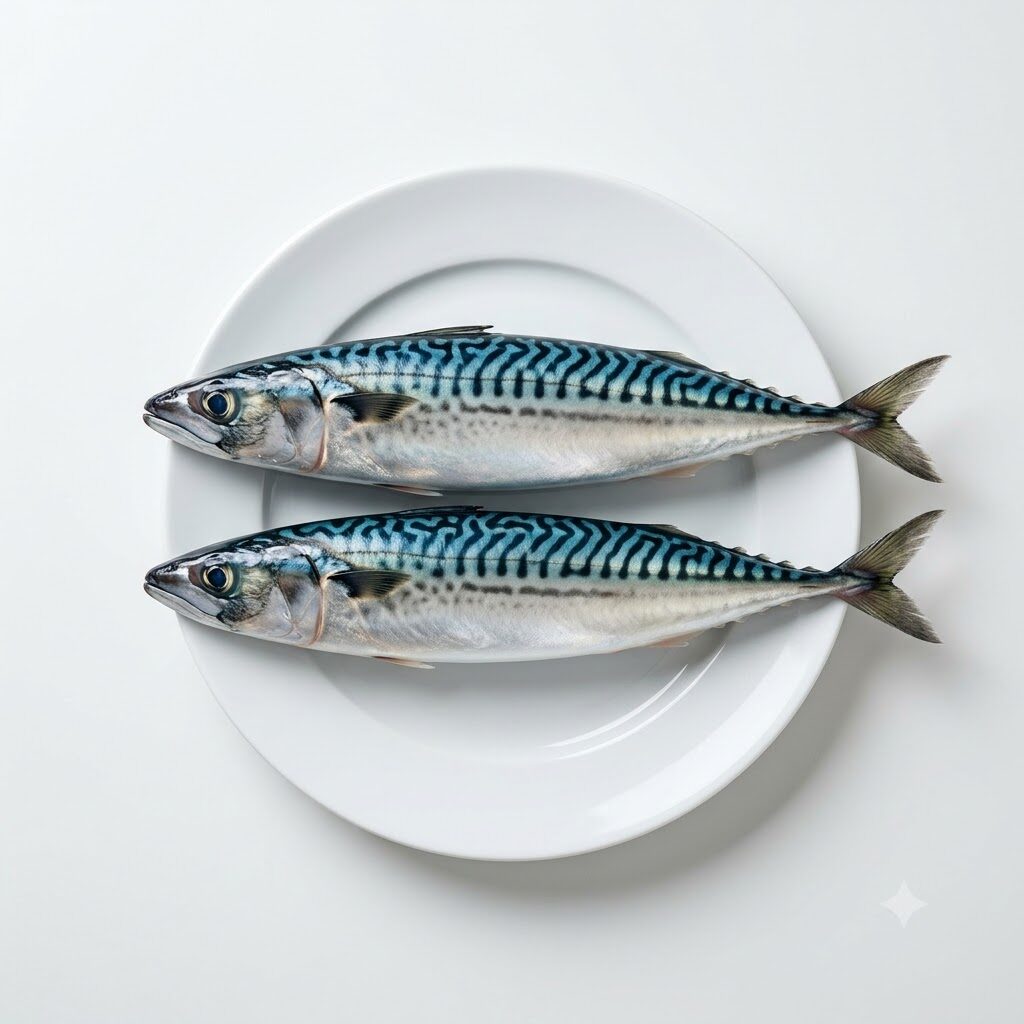 Titus Fish